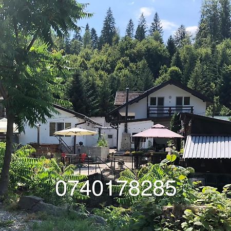 Podul De Brazi - Fir Bridge Vila Cîrţişoara Exterior foto