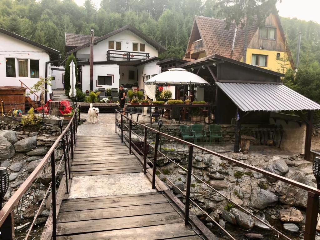 Podul De Brazi - Fir Bridge Vila Cîrţişoara Exterior foto
