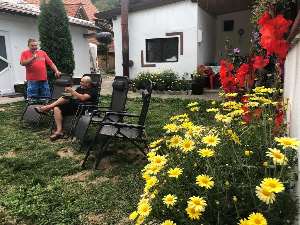 Podul De Brazi - Fir Bridge Vila Cîrţişoara Exterior foto