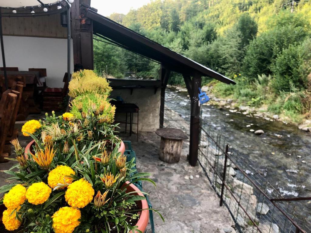 Podul De Brazi - Fir Bridge Vila Cîrţişoara Exterior foto
