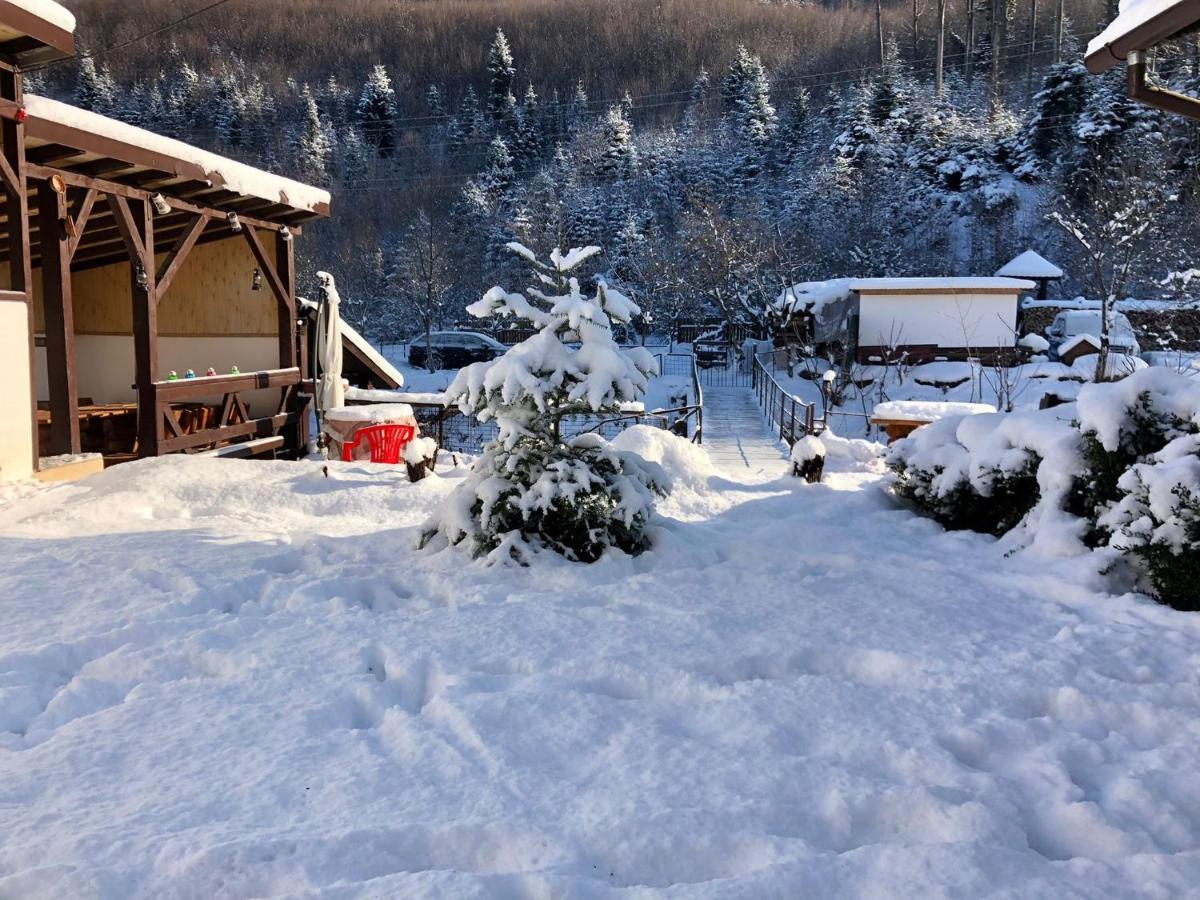 Podul De Brazi - Fir Bridge Vila Cîrţişoara Exterior foto