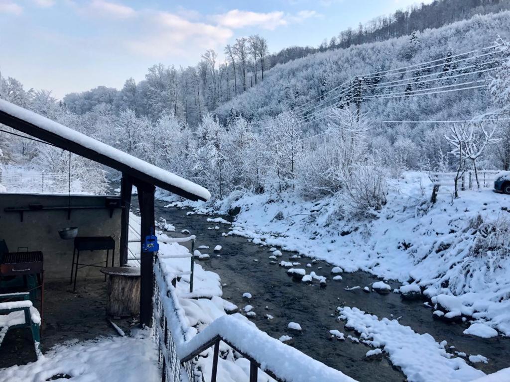 Podul De Brazi - Fir Bridge Vila Cîrţişoara Exterior foto