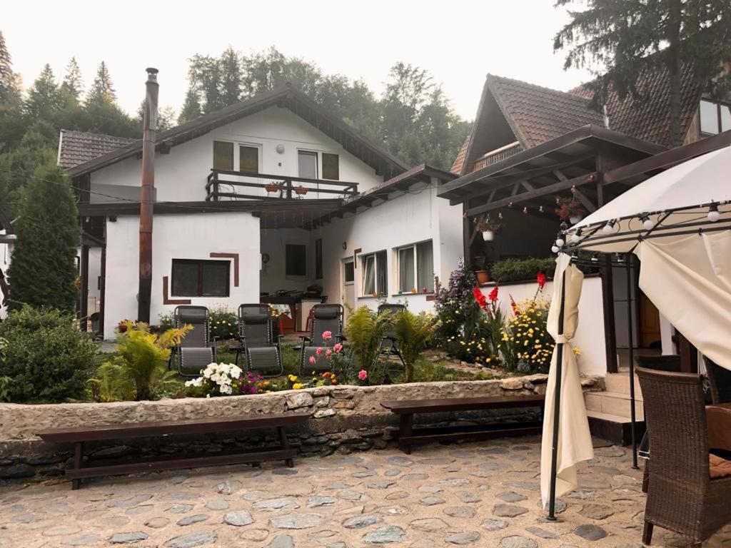 Podul De Brazi - Fir Bridge Vila Cîrţişoara Exterior foto