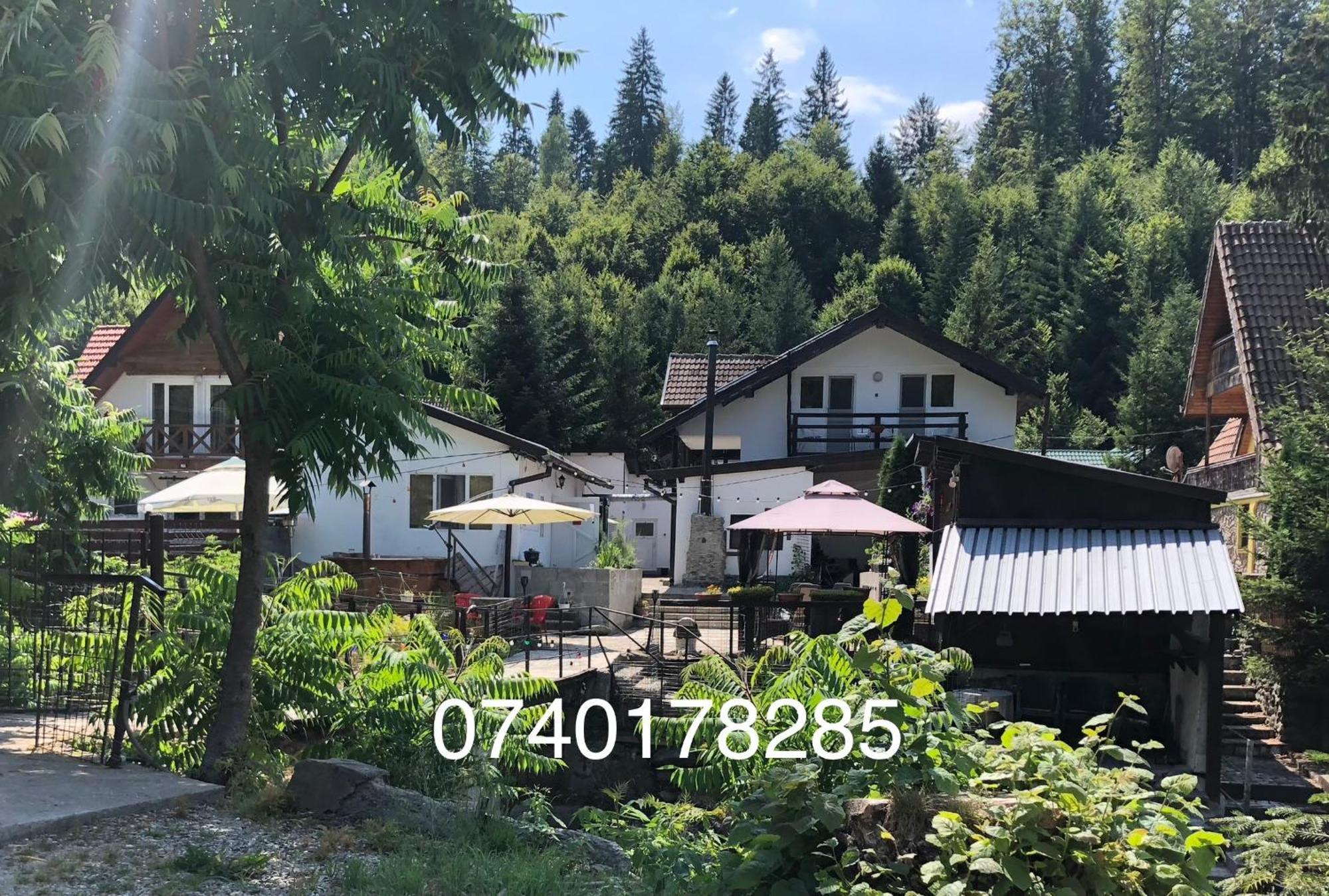 Podul De Brazi - Fir Bridge Vila Cîrţişoara Exterior foto