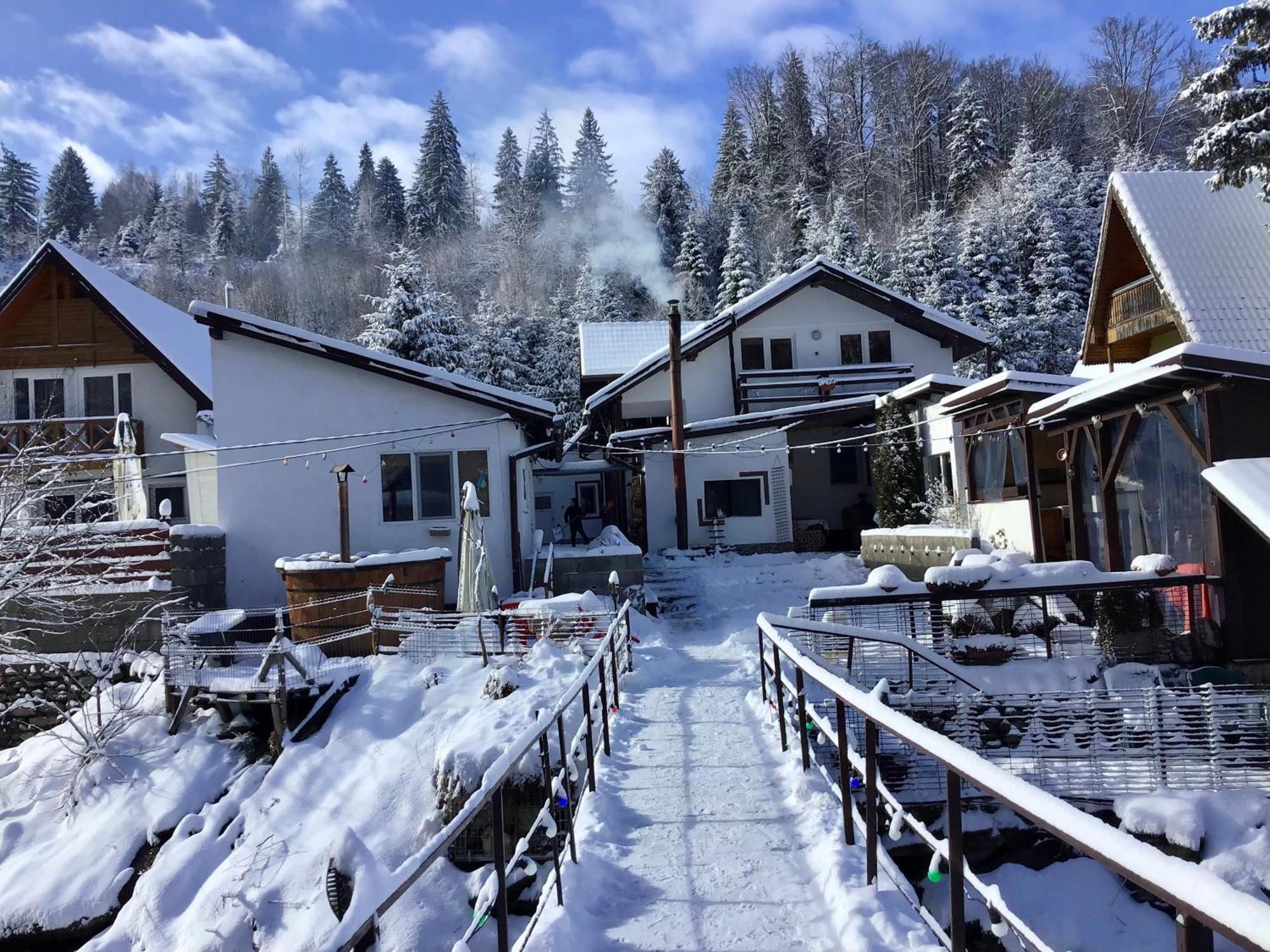 Podul De Brazi - Fir Bridge Vila Cîrţişoara Exterior foto